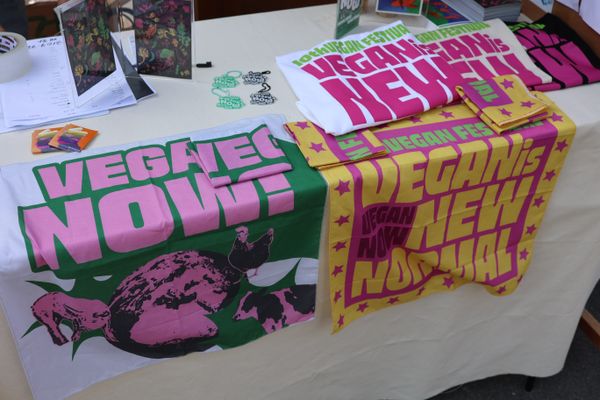 Celebrating a Decade of Veganism: The 10th Vegan Festival in Seoul