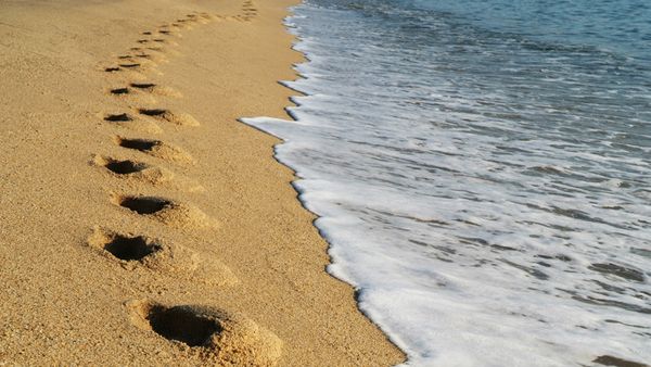 A Summer Escape to Gangneung